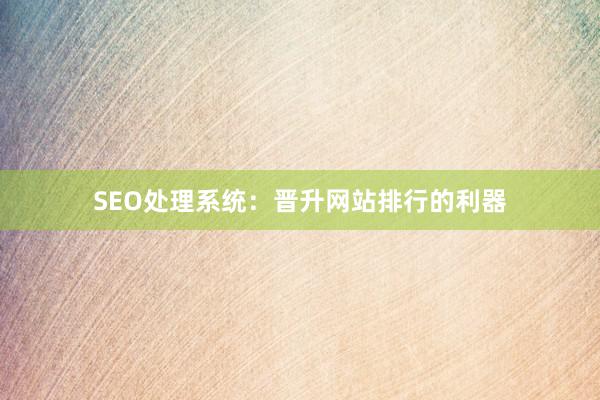 SEO处理系统：晋升网站排行的利器