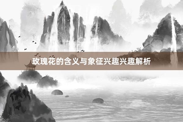 玫瑰花的含义与象征兴趣兴趣解析